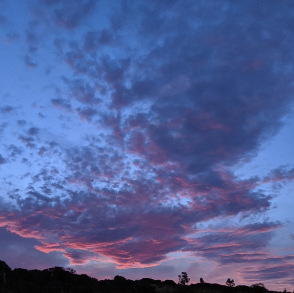 Meet your Posher, Jade Crow - Picture 1 of 2